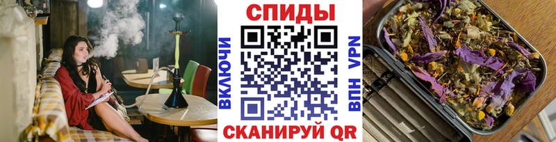Бутират буратино Новошахтинск