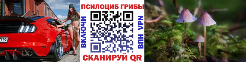 Псилоцибиновые грибы мицелий  закладка  Новошахтинск 