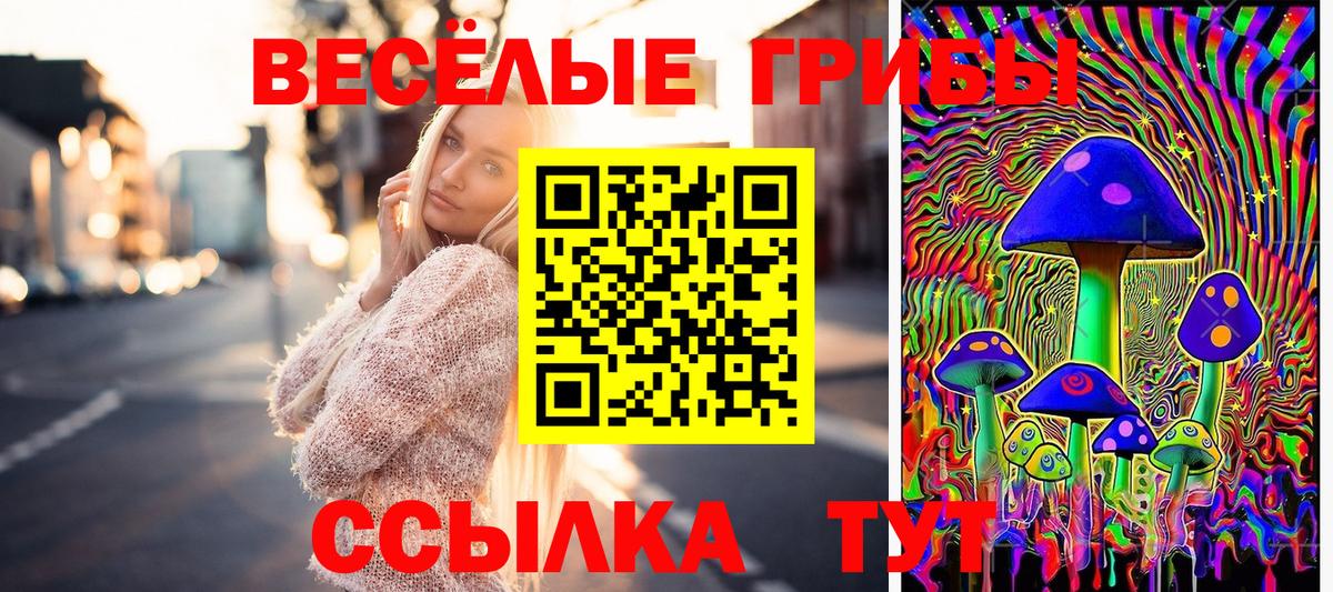 Новошахтинск  Псилоцибиновые грибы MAGIC MUSHROOMS  сколько стоит  Вход с VPN 