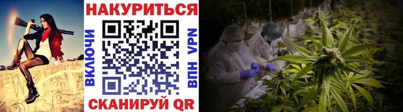 купить наркотики сайты  Новошахтинск  Бошки Шишки планчик 