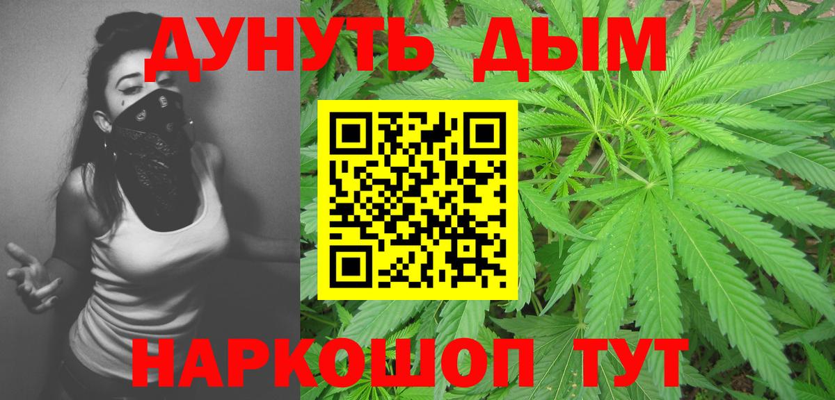 Шишки марихуана семена Новошахтинск